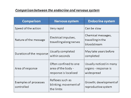 The Nervous And Endocrine Systems Psychology