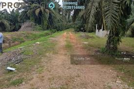 Maybe you would like to learn more about one of these? Land For Sale In Bukit Tagar Bukit Beruntung By Leeseng Propsocial