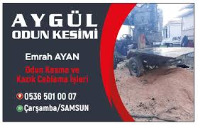 Böylece, çokyıllık bitkiler her baharda biraz daha boy atar. Aygul Odun Kesimi Samsun Carsamba Home Facebook