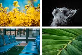 フリー画像・写真素材サイト15選【デザイナー厳選】 | 株式会社LIG(リグ)｜DX支援・システム開発・Web制作