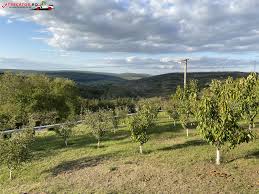 Check spelling or type a new query. Manastirea Schimbarea La Fata Din Husi Galerie Foto Imagini Cu Obiective Turistice