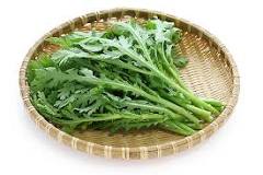 Garland Chrysanthemum CHEFIN Inc. •