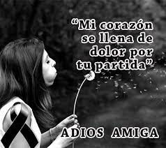 Imagenes De Monos De Luto Para Descargar O Whatsapp Todo Imagenes Estamos seguros que muchas de estas imagenes bonitas para whatsapp con mensajes especiales te van a gustar y te animaras a. de luto para descargar o whatsapp