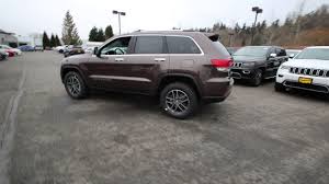 Image result for Walnut Brown 2021 Chrysler