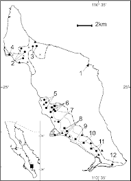 Map Of San Jose Island Baja California Sur Mexico Triangles Show Download Scientific Diagram