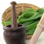 Medvedí cesnak nakrájame, vložíme do mixéra, prilejeme trochu oleja, soľ, korenie a pár minút mixujeme. Pesto Z Medvedieho Cesnaku Ako Na To Recept Peknetelo Eu