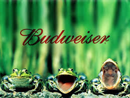 We did not find results for: On The Avenue How Tom Woodard Became A Frog Westwood Avenue