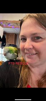 ADOPTION DAY! Ringo got the opportunity to go back home to his previous  family after being here 6 years! We are super thrilled for him! 💚💚💚 Be  loved 🥰 and spoiled sweet