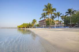 How to invest for dummies. Whala Bocachica In Boca Chica Ab 51 Angebote Momondo