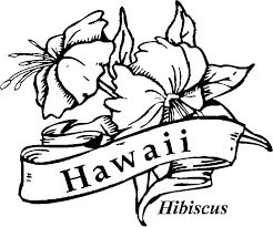 Printable coloring pages of hawaiian flowers. Hawaii Hibiscus Coloring Page Free Printable Coloring Pages For Kids