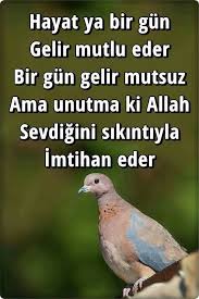 Guzel Sozler Ilham Verici Sozler Guzel Soz Ozlu Sozler
