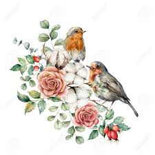 ロビンコマドリ、綿、バラ、ベリー、ユーカリの葉の水彩画カード。手描きの鳥と花は白い背景で隔離。デザイン、印刷または背景のための花のイラスト。の写真素材・画像素材  Image 156035390