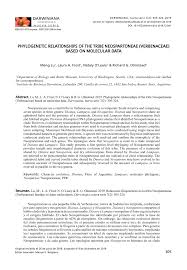 Manuel b karina hat ein problem. Pdf Phylogenetic Relationships Of The Tribe Neospartoneae Verbenaceae Based On Molecular Data