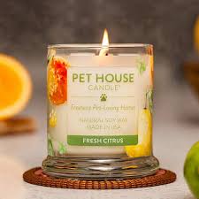 Maybe you would like to learn more about one of these? These Are 9 Best Odor Eliminating Candles For Home In 2021