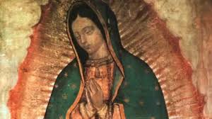 We did not find results for: 8 Astounding Facts About Lady Of Guadalupe The Catholic Talk Show