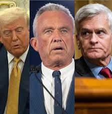 Concerns about misinformation