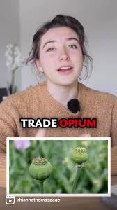 Las Guerras del Opio y su Impacto Global