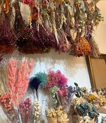 Flores en el ático/Flores preservadas y secas
