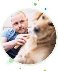 Maybe you would like to learn more about one of these? Keep Your Pet Business Free From Infectious Diseases Heroes For Healthy Pets