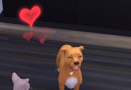 Create your characters, control their lives, build their houses, place them in new relationships and do mu. Best Sims 4 Cats Dogs Mods For Your Pets 2021