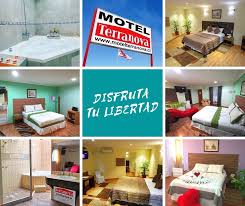 Motel Terranova