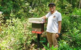 As a reason factor affecting the present problematic advancement of beekeeping industry in malaysia, the issues of high interest in rearing stingless bees (trigona) is alternatively emerged by the local beekeepers. Adopt A Trigona Beehive For Rm500 Per Annum Tatler Malaysia