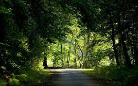 655,276 resources 322 collections sort by: Filipe Moura On Twitter Nature Background Images Desktop Background Nature Nature Backgrounds Iphone