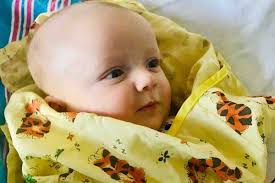 Fundraiser for Jamie Doucette by Tara Hoffman-Galea : Finley Doucette  medical fund