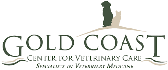 After hours animal emergency vet in brisbane, and on the gold coast and sunshine coast. Gold Coast Center For Veterinary Care Veterinary Specialists On Long Island