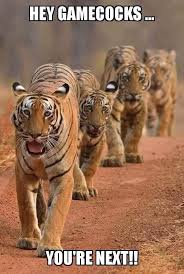 Pin By Tim Oliver On Do You Bleed Orange Lsu Tigers Football Big Cats Tiger