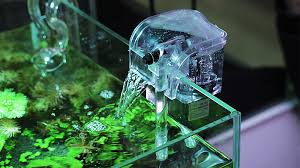 Ekosistem aquarium terjaga, berkat 10 pompa aquarium yang awet & hemat listrik. Macam Macam Filter Akuarium Yang Wajib Kamu Ketahui Dunia Peliharaan