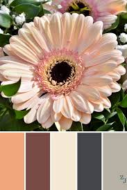 See more ideas about color schemes, paint colors for home, color. Zj Colour Palette 1223 Colourpalettes Colourinspiration Color Palette Bright Red Colour Palette Beach Color Palettes