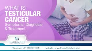 Exam, blood test, and ultrasound. Testicular Cancer Symptoms Stages Diagnosis Risk Factors Treatment