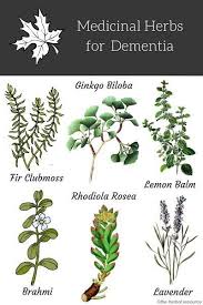 Herbs With The Most Promising Supportive Information For Treating Dementia Medical Herbs Healing Herbs Natural Healing Remedies