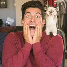 Un popular gato de la red fue el padrino en la boda de su dueño y las  imágenes son adorables