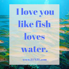 300 I Love You Like Quotes Sayings And Messages Friendship quotes love quotes life quotes funny quotes motivational quotes inspirational quotes. 300 i love you like quotes sayings and