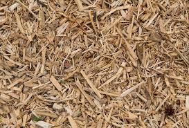 Free Scobs Wood Chips Sawdust Texture Free Textures How To Dry Basil Texture