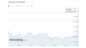Bu noktada dogecoin'in 7 mayıs 2015'te 0,0006 tl ile dip seviyeyi gördüğünü belirtmekte de fayda var. Elon Musk Kripto Para Piyasasini Sallayan Aciklamalar Yapti