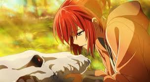 Pin By Mih On Mahou Tsukai No Yome Ancient Magus Bride Anime Best Romance Anime