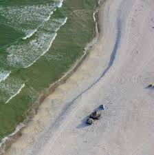 Image result for Sandy Beach Brown 2011 Captiva