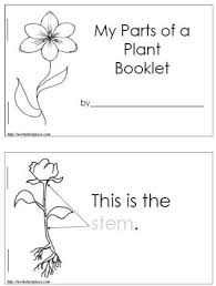 Parts Of A Plant Worksheet Worksheets Kindergarten Science Preschool Science First Grade Science