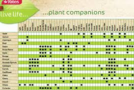 30 Companion Planting Chart For Vegetables Tate Publishing