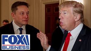 Wall Street legend reveals what 'scares' him about Elon Musk's government  goals