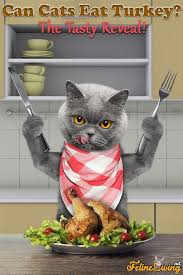 Watch out for signs for skin irritation, vomiting, diarrhea, or other gastrointestinal issues. Felineliving Net Your Pet What Cats Can Eat Organic Dog