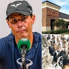 🔴 RAFAEL NADAL CONSTRUIRÁ REFUGIO PARA ANIMALES MALTRATADOS Y  TRAUMATIZADOS 🔴 Rafael Nadal ha anunciado su proyecto "Dogtopia": un  centro de 15 hectáreas en construcción cerca de Bolonia, financiado con una  inversión