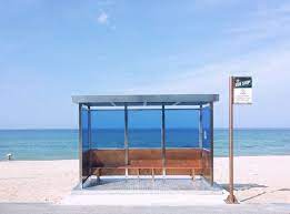Bts Zoom Background Pantai