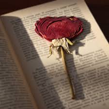 Check spelling or type a new query. Bloombeads Where Flowers Last Like Memories