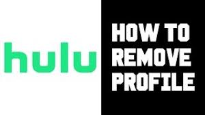 If you have questions about profiles or run into trouble. How To Delete Hulu Profile On Android Iphone Roku Gizdoc