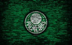 Hd Wallpaper Soccer Sociedade Esportiva Palmeiras Logo Wallpaper Flare