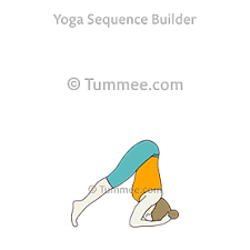 Salamba shirshasana or the headstand is widely known and praised as the  king of yoga asanas . Half Headstand Pose On Forearms Yoga Ardha Sirsasana On Forearms Yoga Sequences Benefits Variations And Sanskrit Pronunciation Tummee Com
